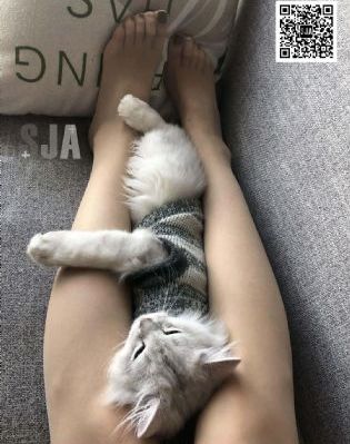 回复术士重启人生在线观看_4KHD在线观看