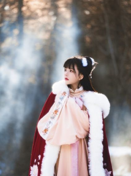 性妇bbbb搡bbbb伊人直播_1080P手机在线看